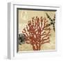 Coral Impressions III-Tandi Venter-Framed Giclee Print