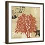 Coral Impressions IV-Tandi Venter-Framed Giclee Print