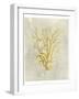 Coral in Mustard-Vision Studio-Framed Art Print