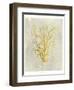 Coral in Mustard-Vision Studio-Framed Art Print