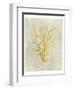 Coral in Mustard-Vision Studio-Framed Art Print