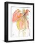 Coral in Nature-Jan Weiss-Framed Art Print