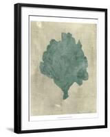 Coral in Teal-Vision Studio-Framed Art Print