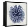 Coral Indigo I-Caroline Kelly-Framed Stretched Canvas