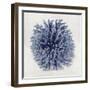 Coral Indigo I-Caroline Kelly-Framed Art Print