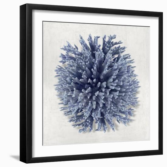 Coral Indigo I-Caroline Kelly-Framed Art Print