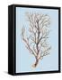 Coral IV-Sloane Addison ?-Framed Stretched Canvas