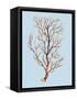 Coral IV-Sloane Addison ?-Framed Stretched Canvas