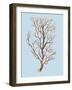 Coral IV-Sloane Addison ?-Framed Art Print