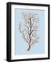 Coral IV-Sloane Addison ?-Framed Art Print