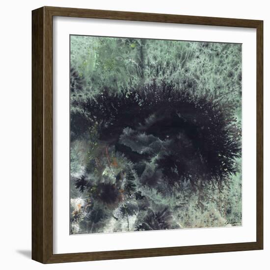 Coral & Jelly Fish I-Dlynn Roll-Framed Art Print