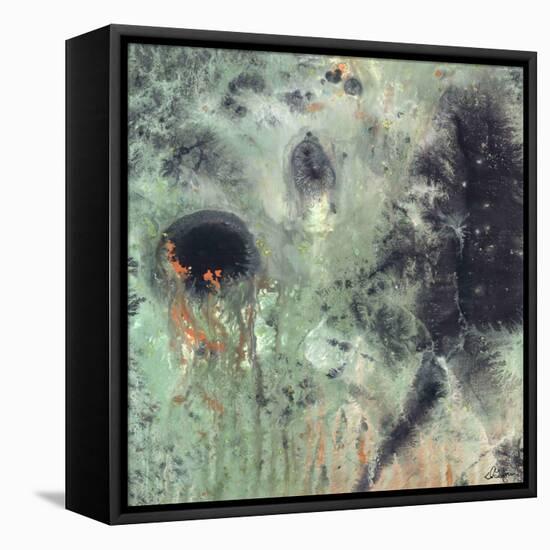 Coral & Jelly Fish II-Dlynn Roll-Framed Stretched Canvas