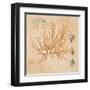 Coral Medley I-Lanie Loreth-Framed Art Print