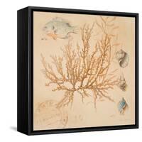 Coral Medley I-Lanie Loreth-Framed Stretched Canvas