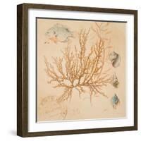 Coral Medley I-Lanie Loreth-Framed Art Print