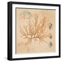 Coral Medley I-Lanie Loreth-Framed Art Print