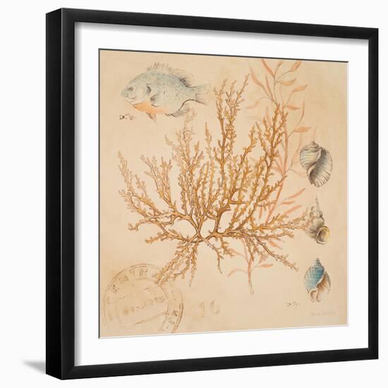 Coral Medley I-Lanie Loreth-Framed Art Print