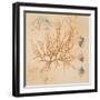 Coral Medley I-Lanie Loreth-Framed Art Print