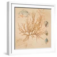 Coral Medley I-Lanie Loreth-Framed Art Print