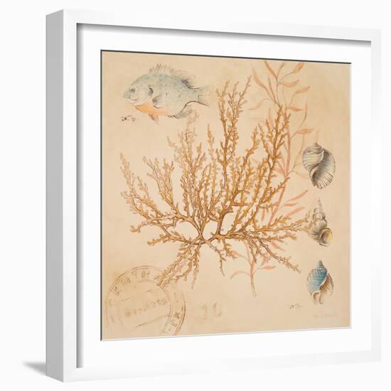 Coral Medley I-Lanie Loreth-Framed Art Print