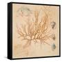 Coral Medley I-Lanie Loreth-Framed Stretched Canvas