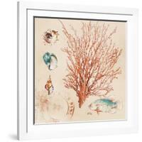 Coral Medley II-Lanie Loreth-Framed Art Print