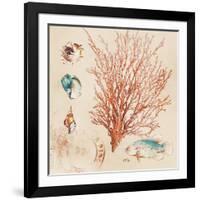 Coral Medley II-Lanie Loreth-Framed Art Print