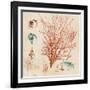 Coral Medley II-Lanie Loreth-Framed Art Print