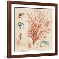 Coral Medley II-Lanie Loreth-Framed Art Print