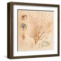 Coral Medley II-Lanie Loreth-Framed Art Print