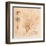 Coral Medley II-Lanie Loreth-Framed Art Print