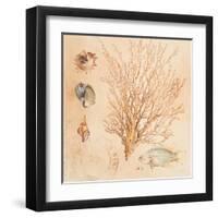 Coral Medley II-Lanie Loreth-Framed Art Print