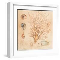 Coral Medley II-Lanie Loreth-Framed Art Print