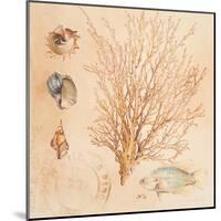 Coral Medley II-Lanie Loreth-Mounted Art Print