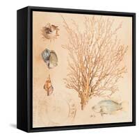 Coral Medley II-Lanie Loreth-Framed Stretched Canvas