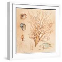 Coral Medley II-Lanie Loreth-Framed Art Print