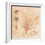 Coral Medley II-Lanie Loreth-Framed Art Print