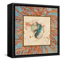 Coral Medley Shell I-Lanie Loreth-Framed Stretched Canvas