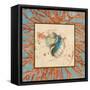 Coral Medley Shell I-Lanie Loreth-Framed Stretched Canvas