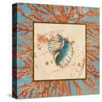 Coral Medley Shell I-Lanie Loreth-Stretched Canvas