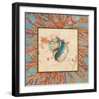 Coral Medley Shell I-Lanie Loreth-Framed Art Print