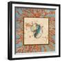 Coral Medley Shell I-Lanie Loreth-Framed Art Print