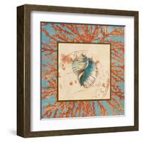 Coral Medley Shell I-Lanie Loreth-Framed Art Print