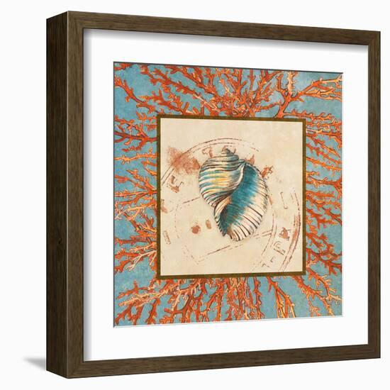 Coral Medley Shell I-Lanie Loreth-Framed Art Print