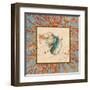 Coral Medley Shell I-Lanie Loreth-Framed Art Print