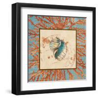 Coral Medley Shell I-Lanie Loreth-Framed Art Print