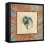 Coral Medley Shell II-Lanie Loreth-Framed Stretched Canvas