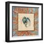 Coral Medley Shell II-Lanie Loreth-Framed Art Print