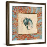 Coral Medley Shell II-Lanie Loreth-Framed Art Print