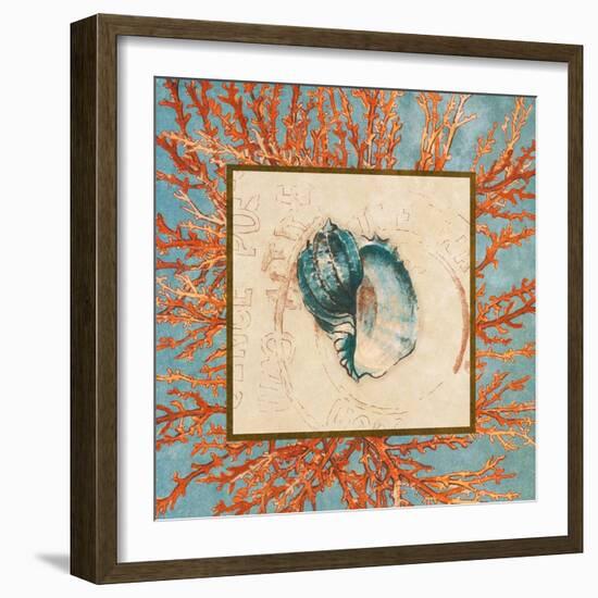 Coral Medley Shell II-Lanie Loreth-Framed Art Print